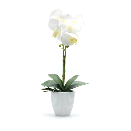 Orhidee artificiala siliconata cu aspect 100%